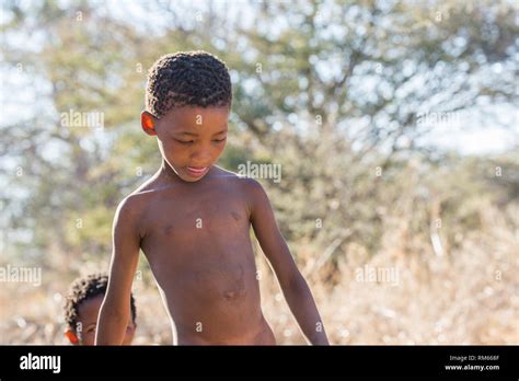 Alamy Stocks Photo Portrait Of A Bushman Child Photographed In