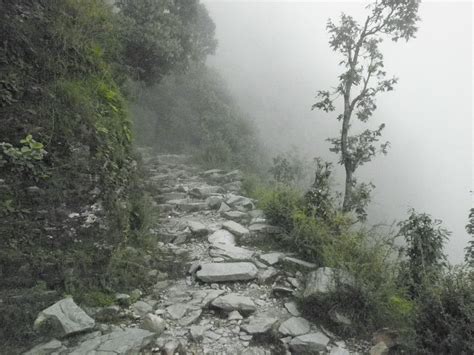 Triund Trek In Himalayas Dharamsala India Pinoftheday Trekking