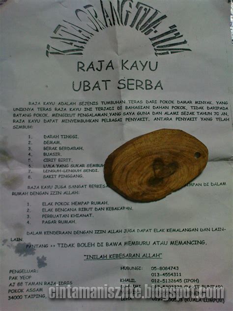 Jika dibakar, raja kayu ini akan cair meleleh seperti. CINTAMANISZ Lite: Aura Raja Kayu....