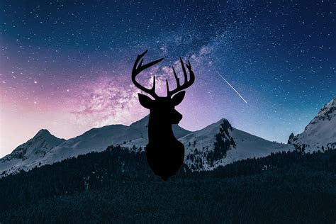 Deer Forest Galaxy Nature Hd Wallpaper Peakpx