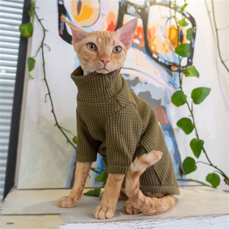 Warm Cat Clothes Sphynx Cat Sweater Hairless Cat Clothes Etsy
