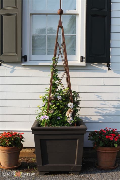 It can add texture and style to a plain yard, hide an unattractive cinderblock wall and most of all, many plants will thrive on its climbing surface. Garden Trellis Tutorial - How to Make a DIY Bamboo Trellis