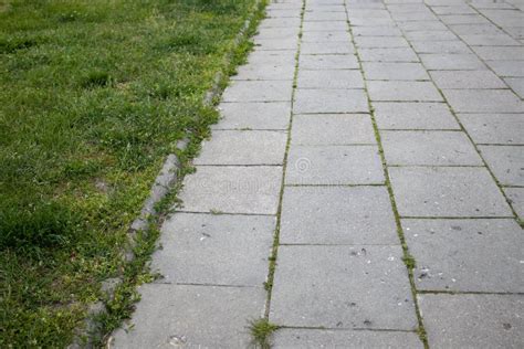 Pavement Background With Concrete Slabs And Lawn With Green Grass Stock