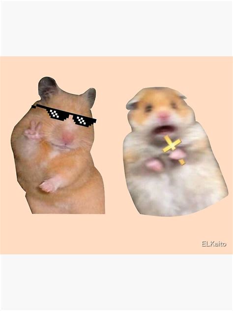 Peace Sign Thuglife And Scared Praying Hamster Meme Canvas Print By