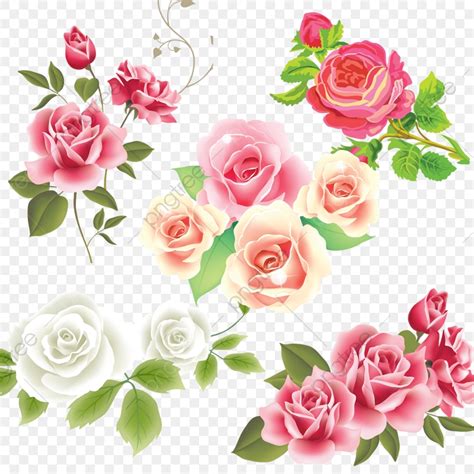 Floral patterns make incredible vector illustrations and if it comes in variation then you will never have any problem in using it for different purposes. Pink White Rose Flower Vector, Pink Rose, Flower, Pattern ...