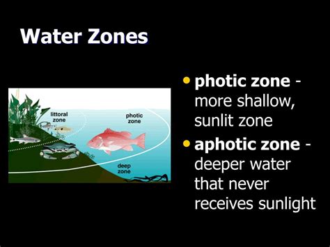 Ppt Biomes Powerpoint Presentation Free Download Id98946