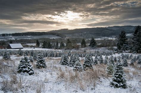12 Enchanting Photos Thatll Make You Love Winter In Oregon That