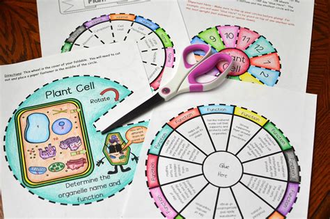 Math In Demand Plant Cell Foldable