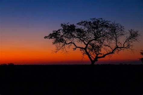 From wikimedia commons, the free media repository. There's no sunset like a Kruger sunset