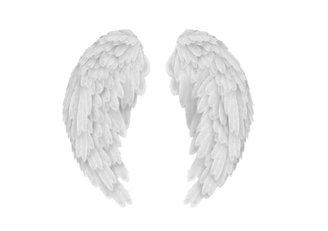 Angel Wings Scalable Vector Graphics Autocad Dxf Clip Art Angel Wings