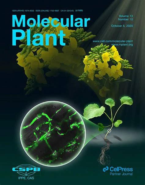 国产国际顶级植物科学期刊：molecular Plant单词