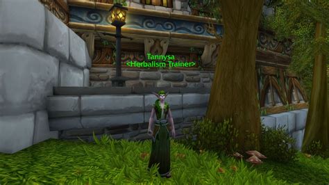 ≡ Wow Classic Herbalism Guide 》 Game News Gameplays Comparisons On