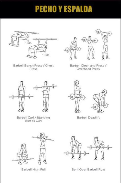 Pin en Ejercicios de gym