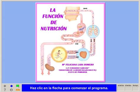 La Función De Nutrición Recurso Educativo 41370 Tiching