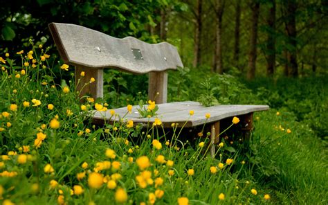 Cute Bench Wallpapers Wallpaper Cave