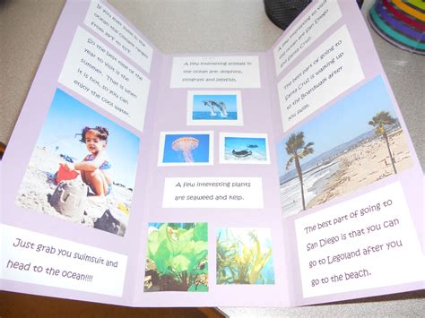 Biome Travel Brochure Travel Brochure Science Classroom Within