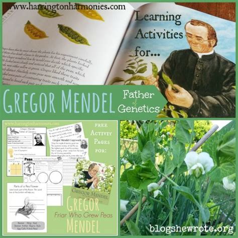 What Gregor Mendel Growing Peas Can Teach Us About Heredity Gregor Mendel Teaching Science