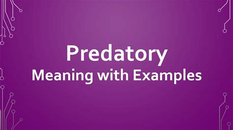 Predatory Meaning With Examples Youtube