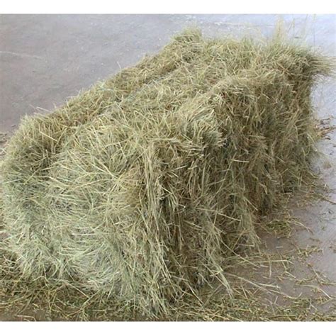 Signalness Farms Grass Alfalfa Mix Hay Bale Wrs