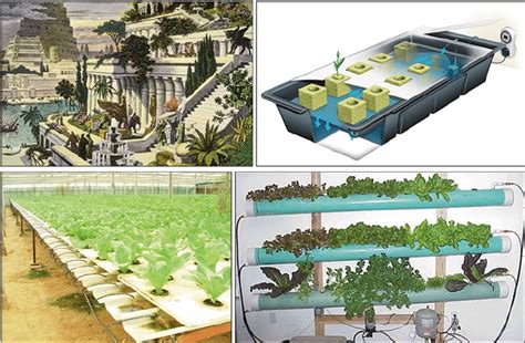 Some even wonder whether they actually existed, for if one has archaeological traces of most other wonders of the world, or at least tangible evidence of their realities, for the gardens of babylon, it is. The Hanging Gardens of Babylon was considered one of the ...