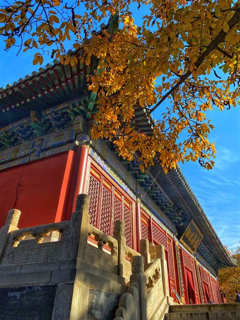 Ancient Beijing Temple Embraces Autumn Vibe Cgtn