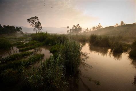 Free for commercial use no attribution required high quality images. Rwanda Landscape | Paul Elledge ♥'s You