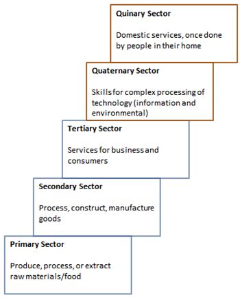 What is the meaning of tertiary production? Quinary Sector of Industry: Definition & Examples - Video ...