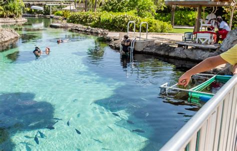 Full Grand Cayman Island Tour Grand Cayman Attractions Caytours