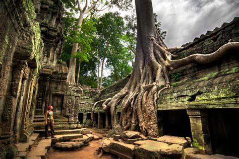The Ta Prohm Temple Cambodia
