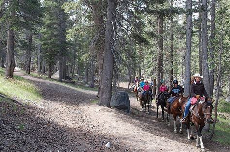 Mammoth Lakes Pack Outfit Horse And Mule Trail Rides Mammoth Lakes