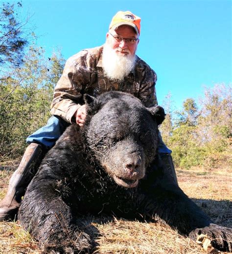 Outcry As North Carolina Commission Votes To Allows Bear Hunting In