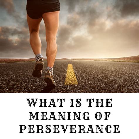 What Is The Meaning Of Perseverance
