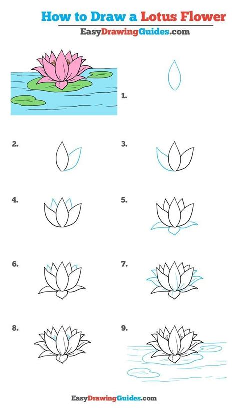 Easy Flower Drawings Flower Drawing Tutorials Drawing Tutorials For