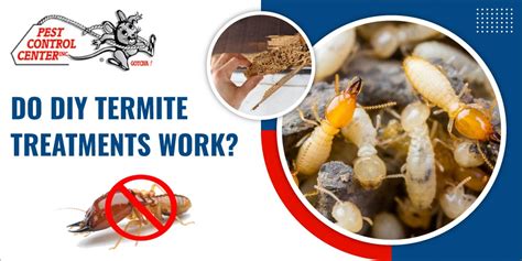 Do Diy Termite Treatments Work Pest Control Center