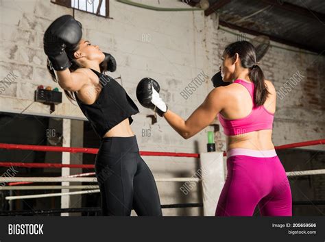 Boxer Knocking Out Her Image Photo Free Trial Bigstock