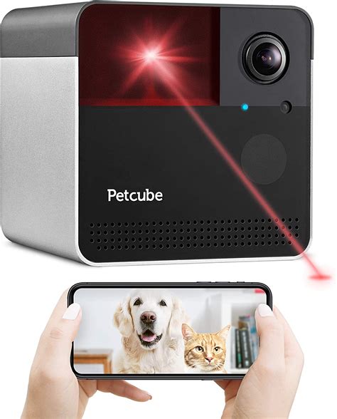 Best Dog Camera For Home Use Top 5 Editors Picks