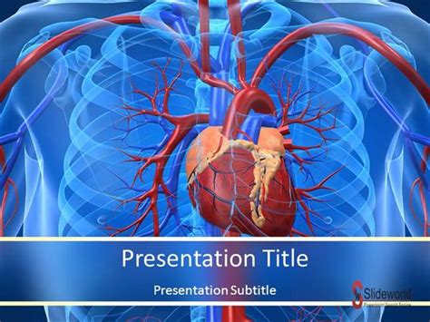 Cardiovascular System Facts-PowerPoint Template