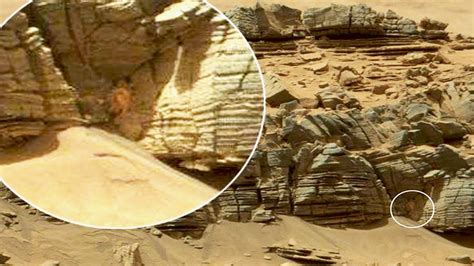 Proof Of Life On Mars Youtube