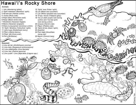 Aloha Coloring Pages at GetDrawings | Free download