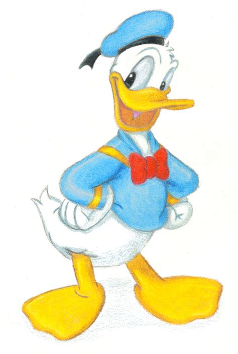 Donald Duck By Viridianvenus On Deviantart