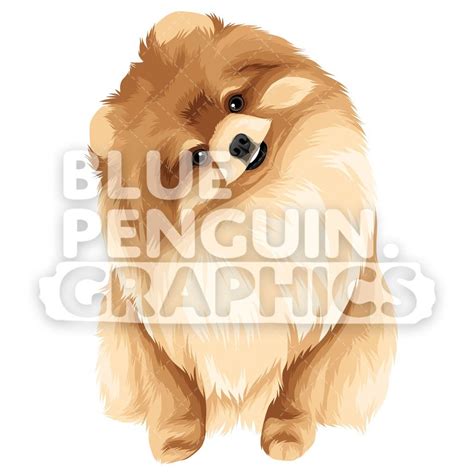 Pomeranian Version 6 Vector Clipart Illustration Illustration Dog