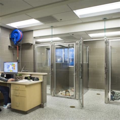 VCA Alameda East Veterinary Hospital  Primary Care  Animal Arts