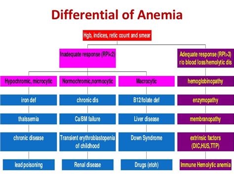 Introduction To Hematology And Anemia