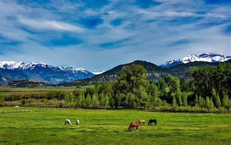 Free Images Landscape Nature Forest Grass Wilderness Snow Cloud