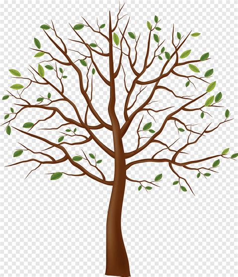 Sintético 98 Foto Como Dibujar Un árbol Con Ramas Y Hojas Actualizar