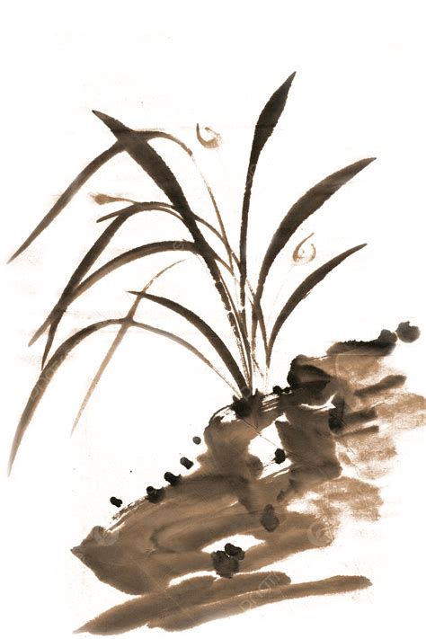 Rock And Bluegrass, Bamboo, Slim, Tall And Straight PNG Transparent