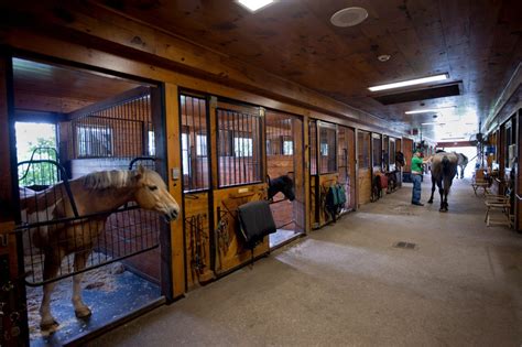 horse farm prices   tumble   regionwestchester   york times