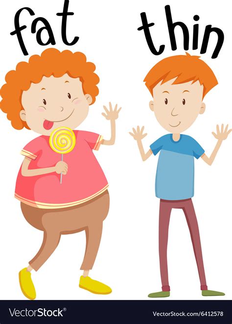 Opposite Adjectives Fat And Thin Royalty Free Vector Image