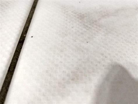 Da natursteinoberflächen sehr empfindlich sind, sollte man. Wie kann ich diese rauen Fliesen reinigen? (Reinigung)
