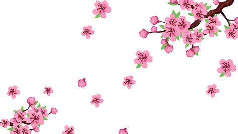 베트남 봄 축제 복숭아 꽃 테두리 핑크 베트남 중국의 설날 틀 Png 일러스트 및 Psd 이미지 무료 다운로드 Pngtree